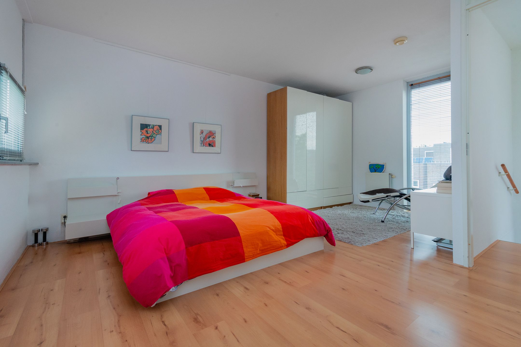 Photo 24 of Professor Pigracht 28