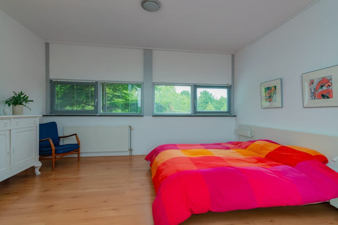 Photo 26 of Professor Pigracht 28