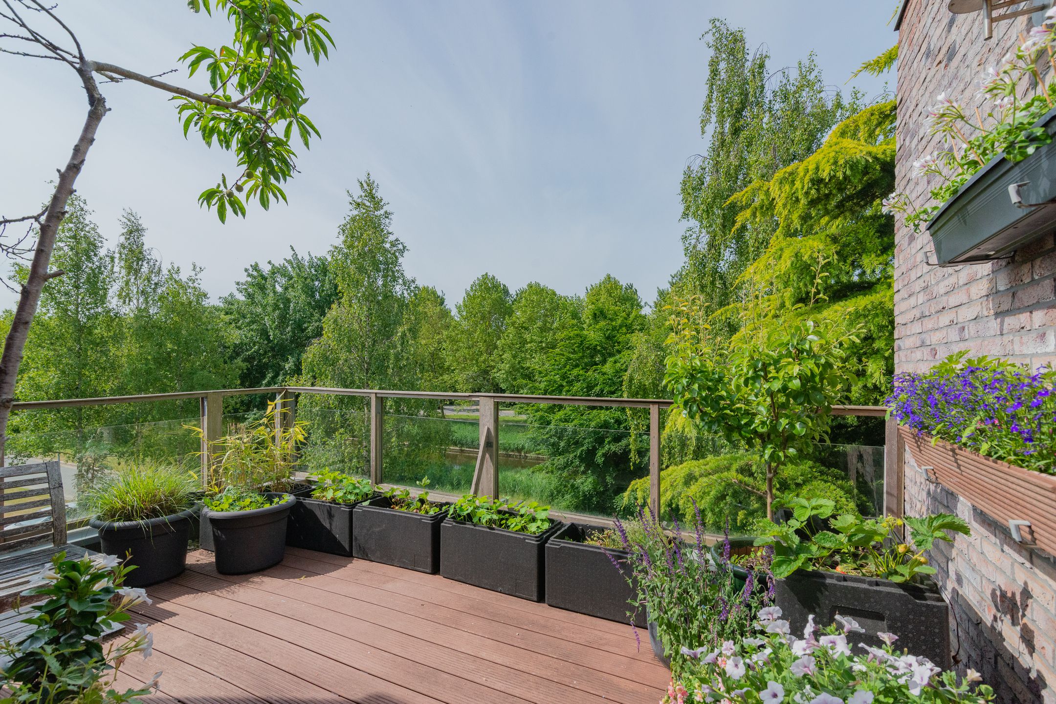 Photo 27 of Professor Pigracht 28