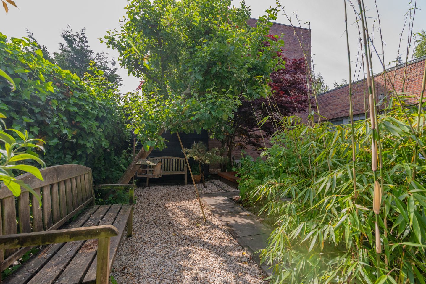 Photo 35 of Professor Pigracht 28