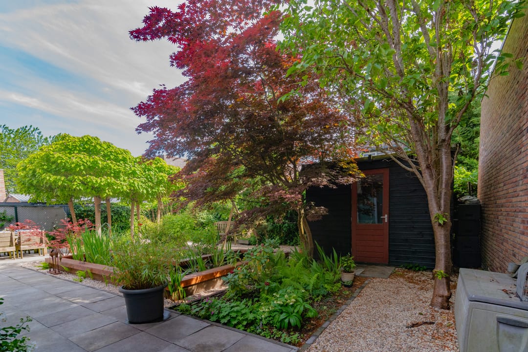 Photo 37 of Professor Pigracht 28