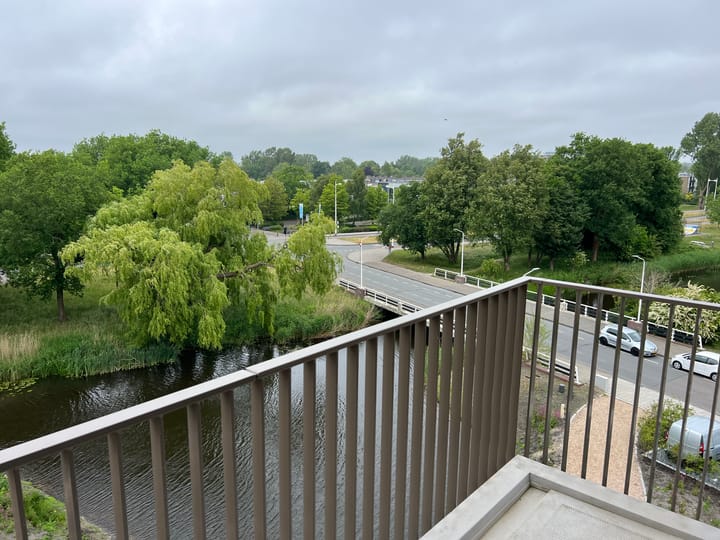 Foto 4 van Picassolaan 979