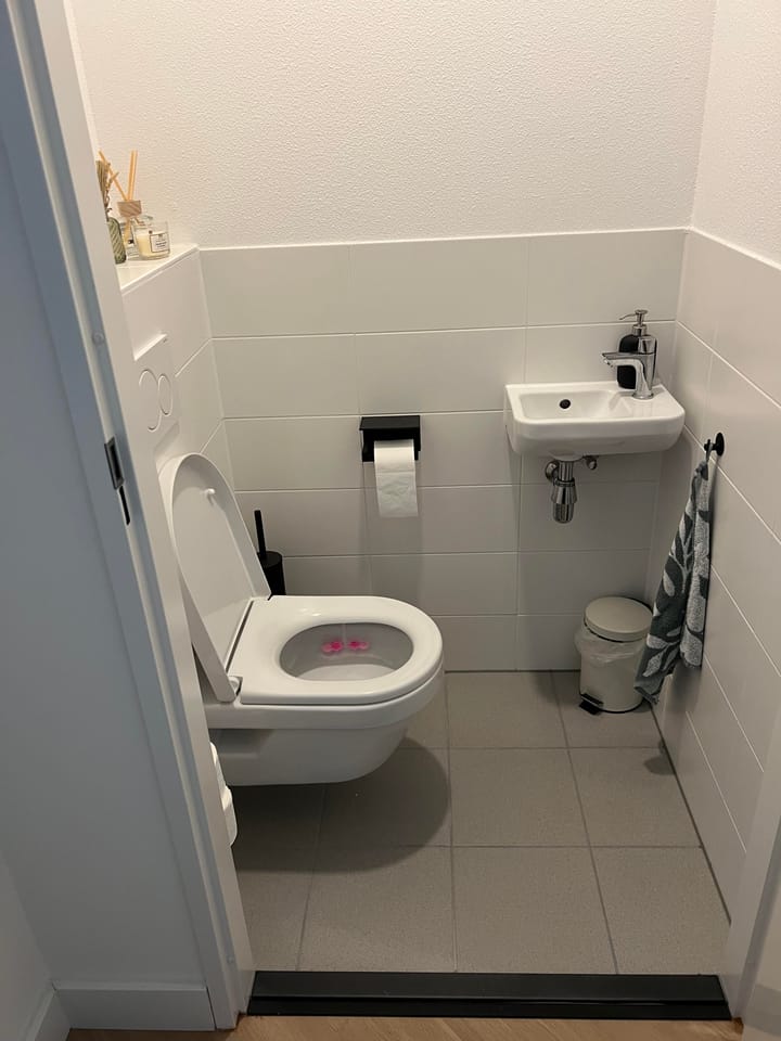 Foto 21 van Picassolaan 979