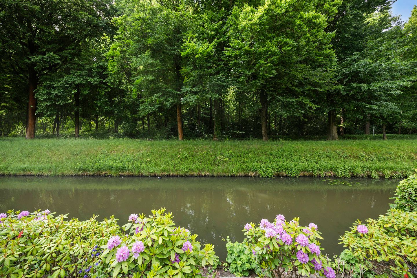 Foto 4 van Hoefslagmate 60