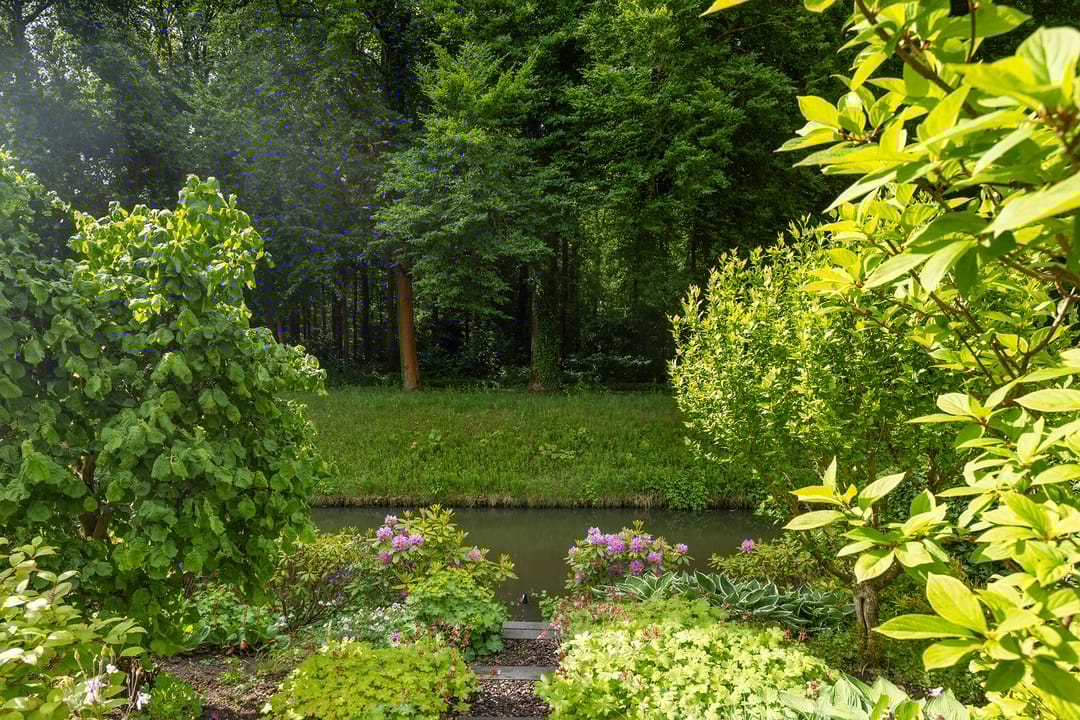 Foto 41 van Hoefslagmate 60