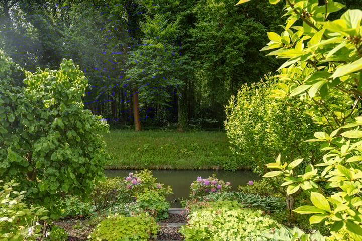 Foto 41 van Hoefslagmate 60