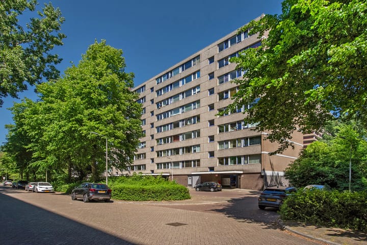 Roland Holstlaan 997