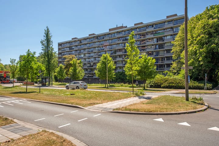 Photo 25 of Roland Holstlaan 997