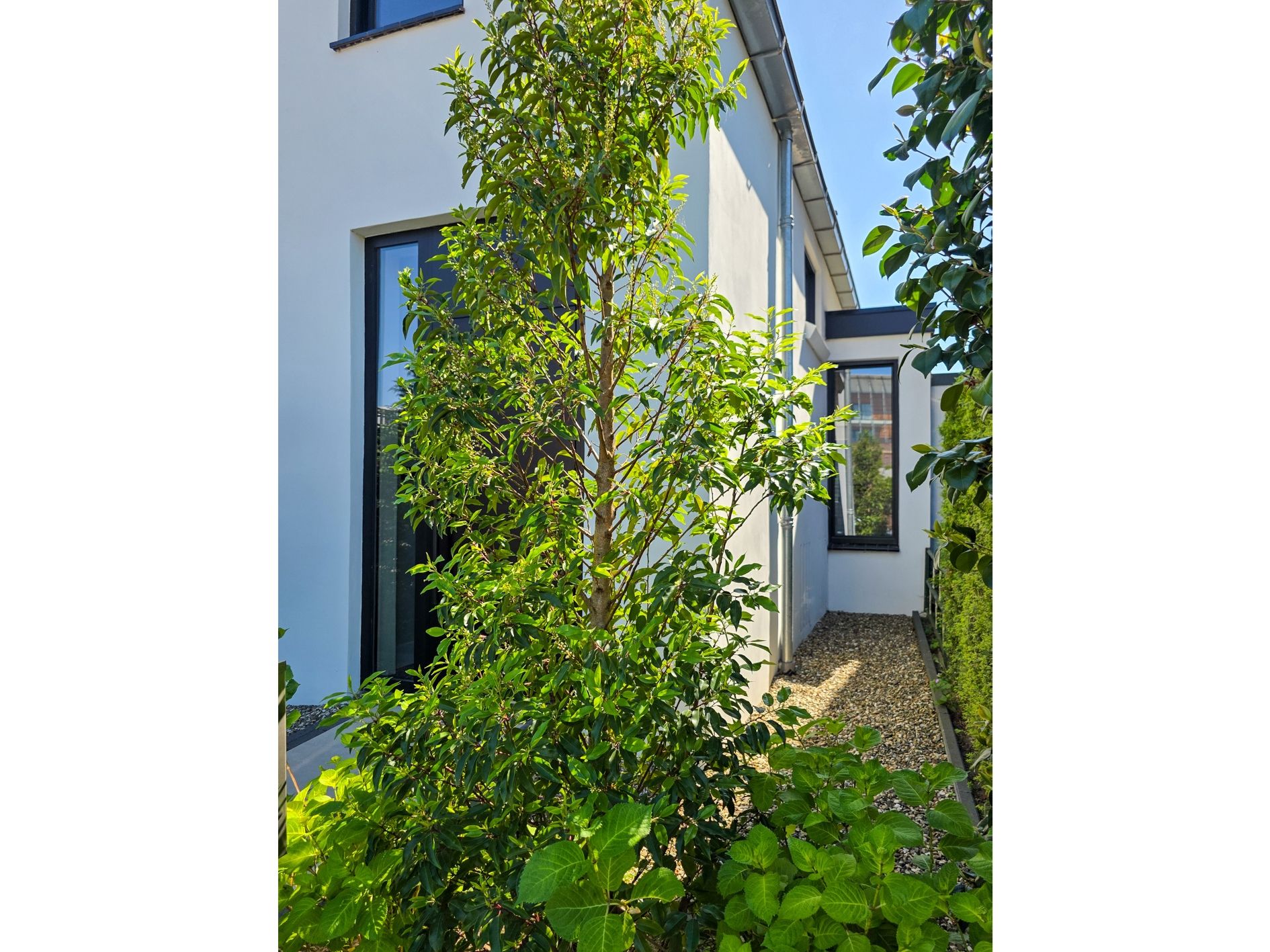 Foto 6 van Sloetsweg 283