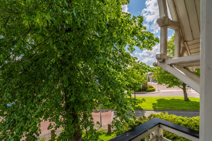 Foto 40 van Nassaustraat 19