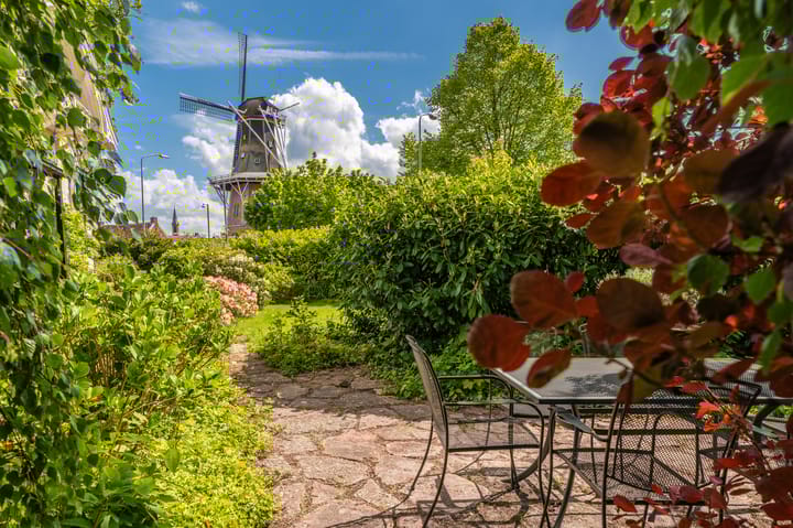 Foto 55 van Nassaustraat 19