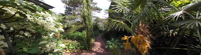 Achtertuin