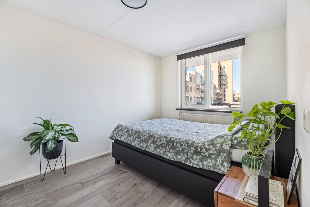 Foto 19 van Laan naar Emiclaer 41