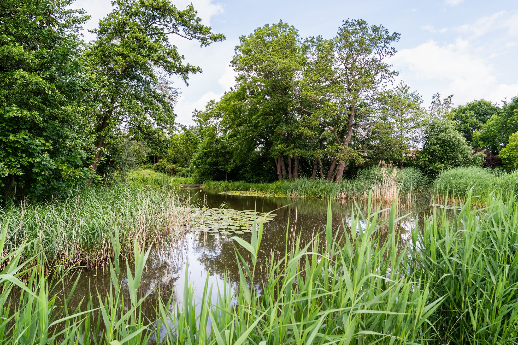 Foto 57 van Frankhuisweg 35