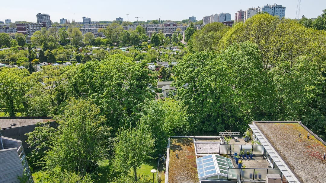 Foto 43 van Dedemsvaartweg 131