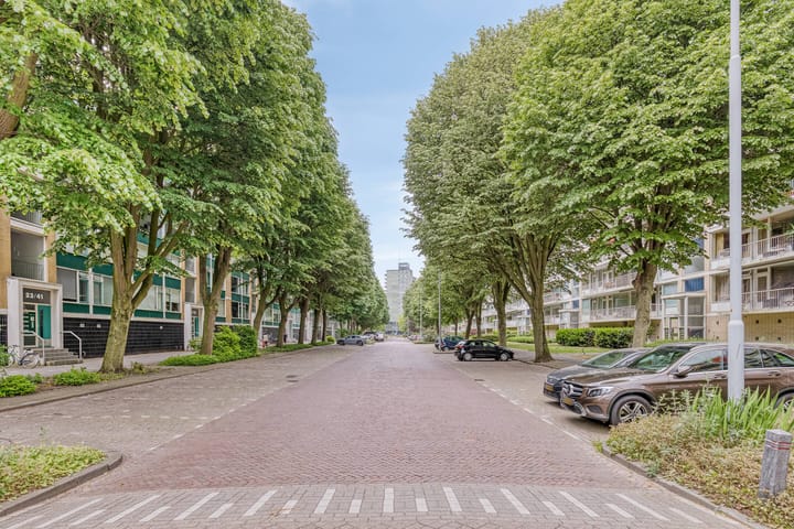 Photo 3 of Burgemeester Keijzerlaan 119