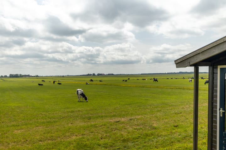 Foto 30 van It Foarfjild 15