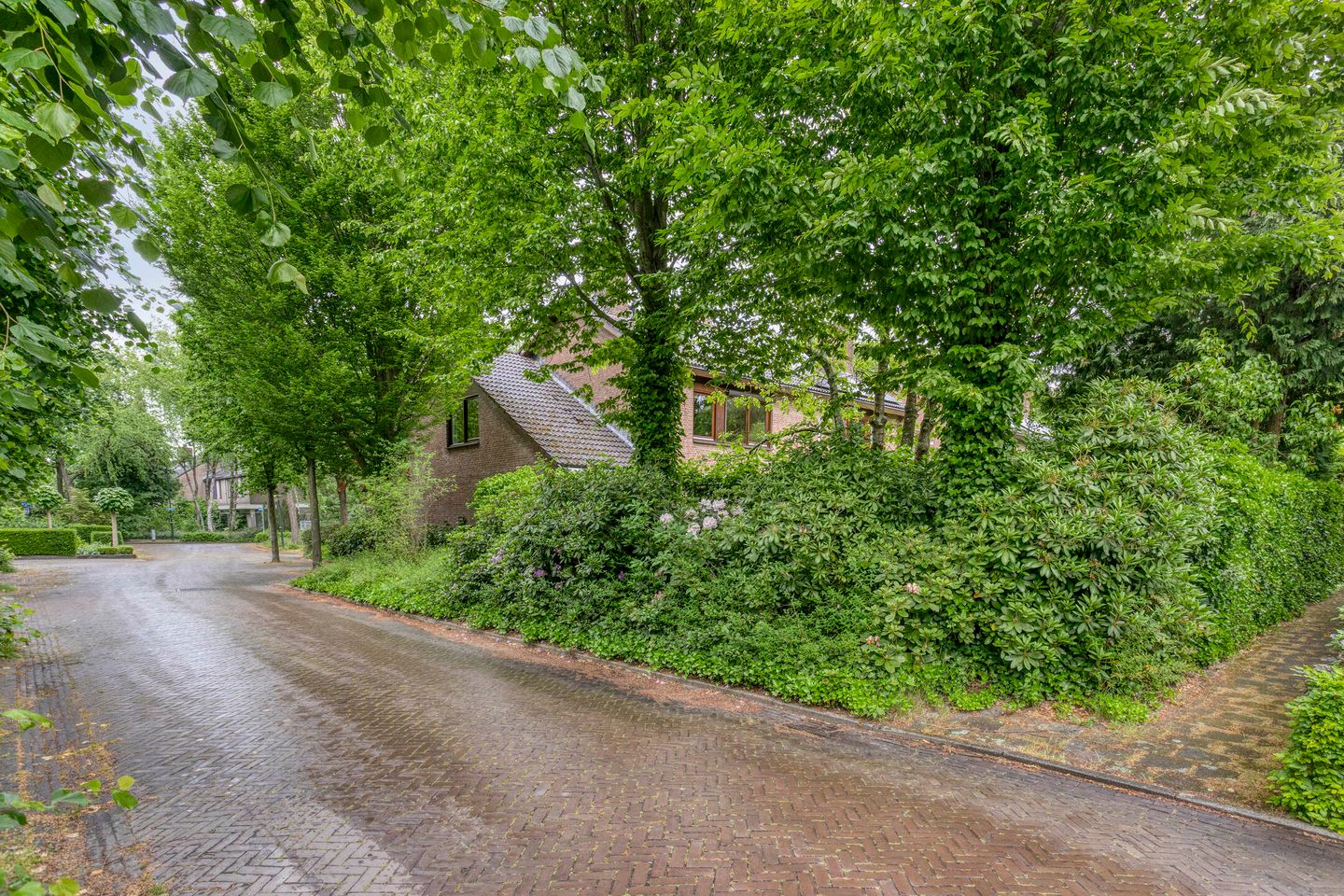 Foto 4 van Hutdijk 54