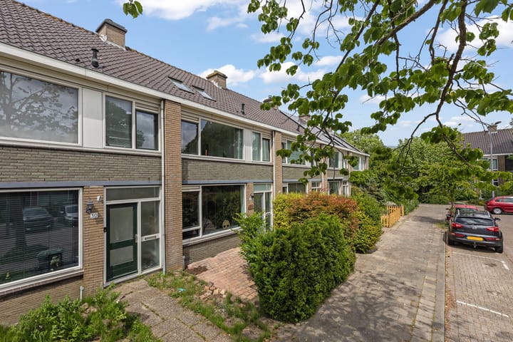 Foto 5 van Wittebrem 32