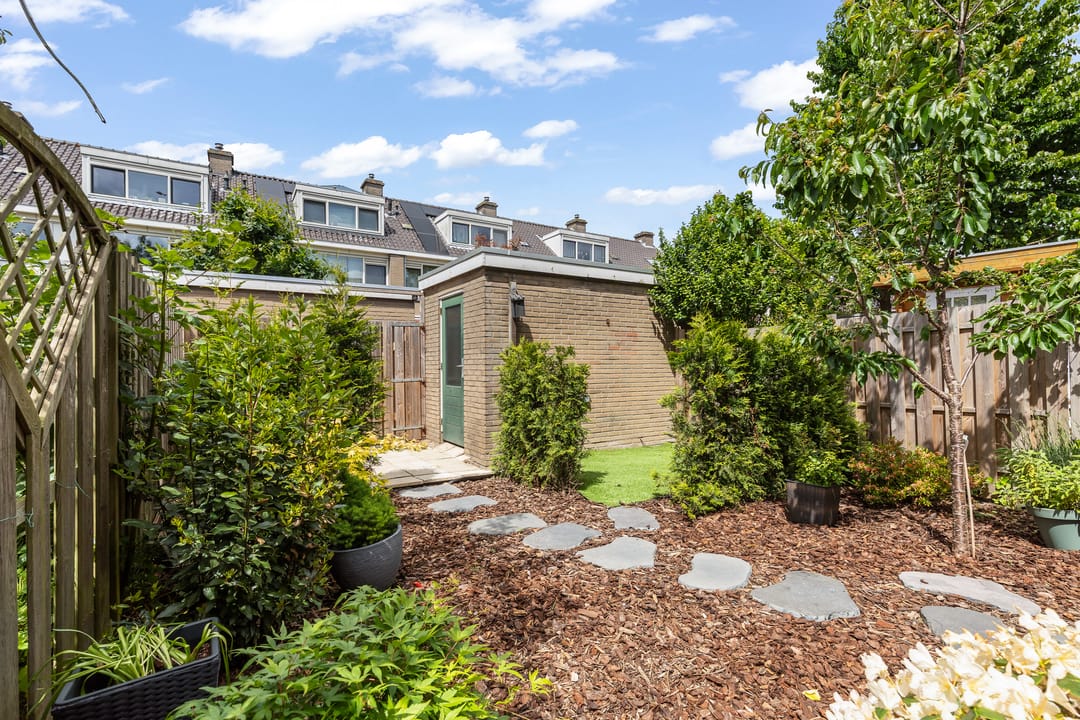 Foto 47 van Wittebrem 32