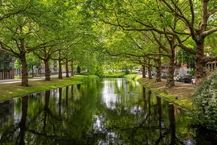 Foto 36 van Alex de Haasstraat 30