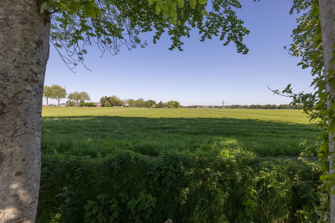 Foto 38 van Provincialeweg 102