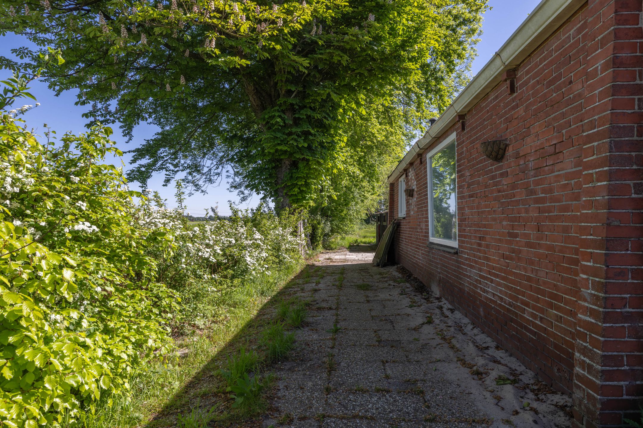 Foto 39 van Provincialeweg 102