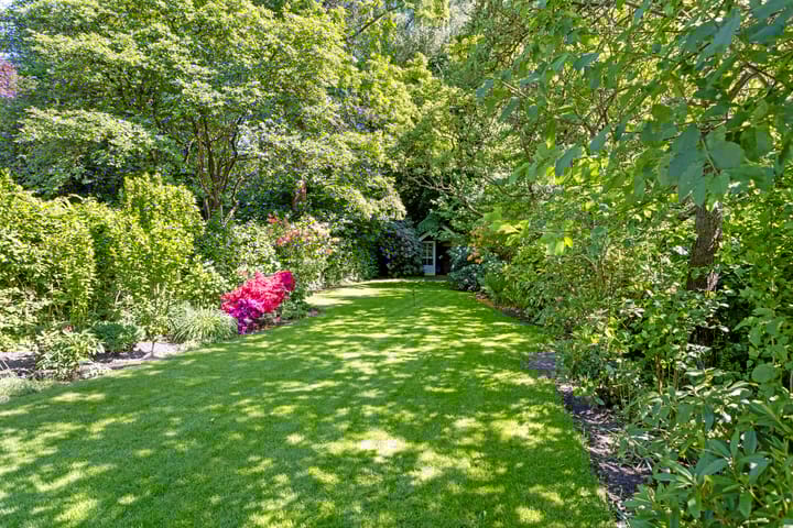 Foto 30 van Middelgraaf 58