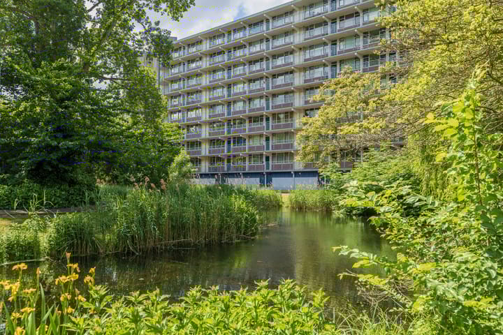 Foto 1 van Condorhorst 19