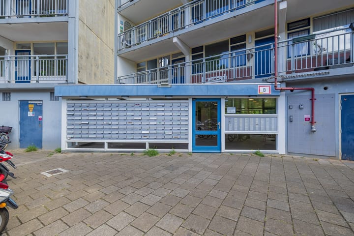 Foto 32 van Condorhorst 19