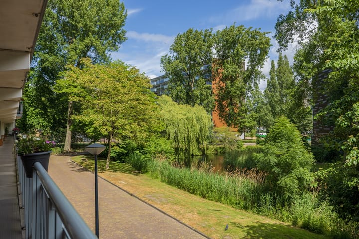 Foto 35 van Condorhorst 19