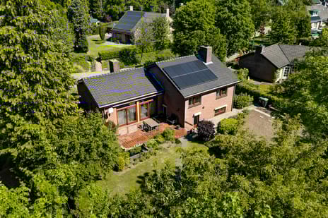 Belleboom 19 secondary image
