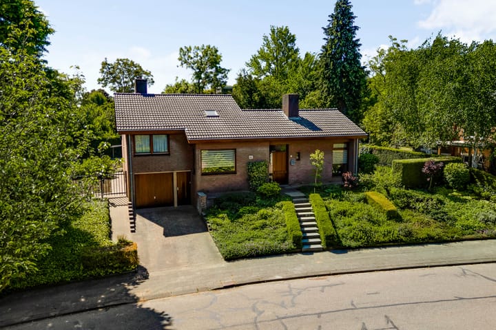 Foto 1 van Belleboom 19