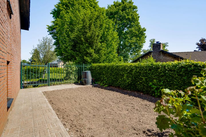 Foto 38 van Belleboom 19