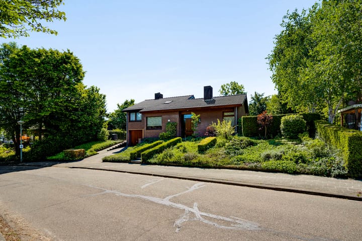 Foto 46 van Belleboom 19