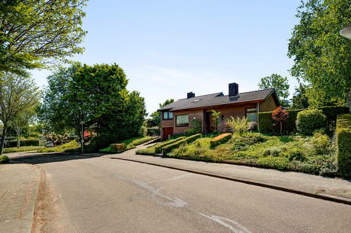 Foto 48 van Belleboom 19