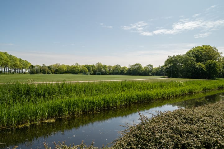 Foto 54 van Kleine Buren 24