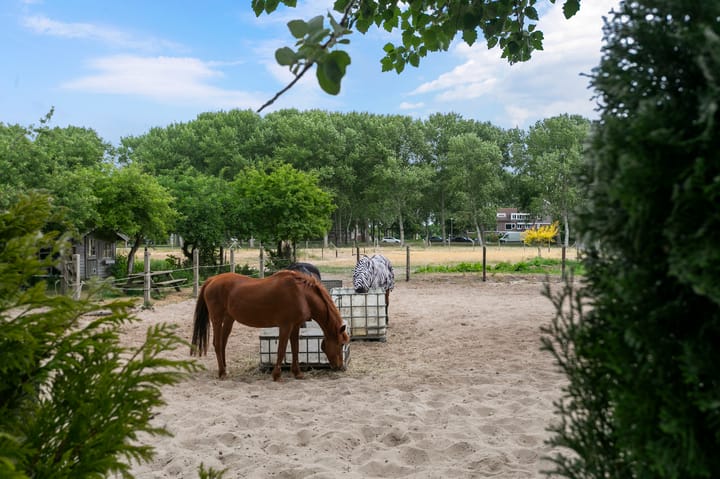 Photo 36 of Dijkmeent 103