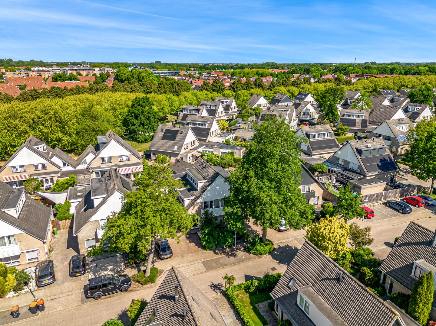 Photo 4 of Florijn 5