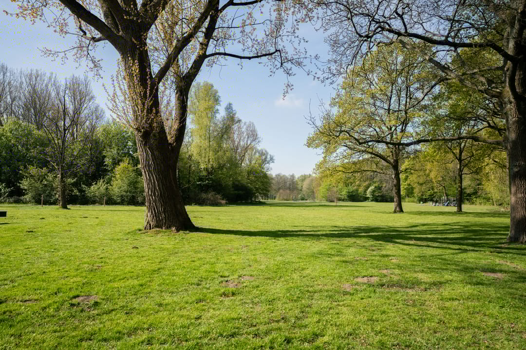 Foto 32 van Teylerplein 17