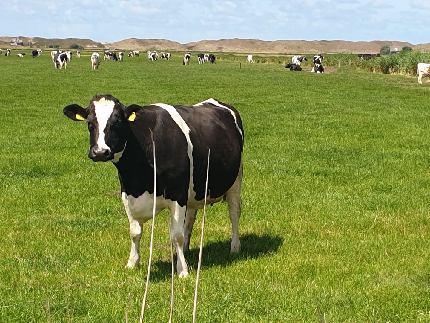 Photo 34 of Aderweg 8-R15