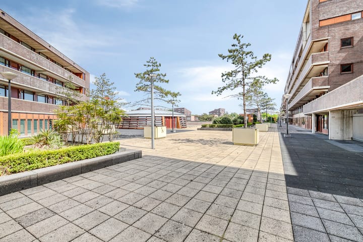 Photo 32 of Pieter Calandlaan 660