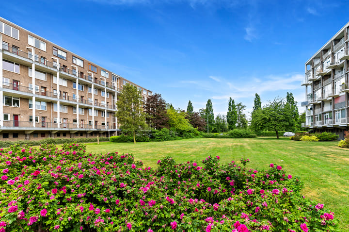 Photo 31 of Meppelweg 843