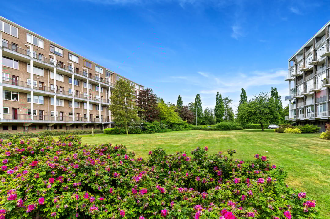 Photo 28 of Meppelweg 843