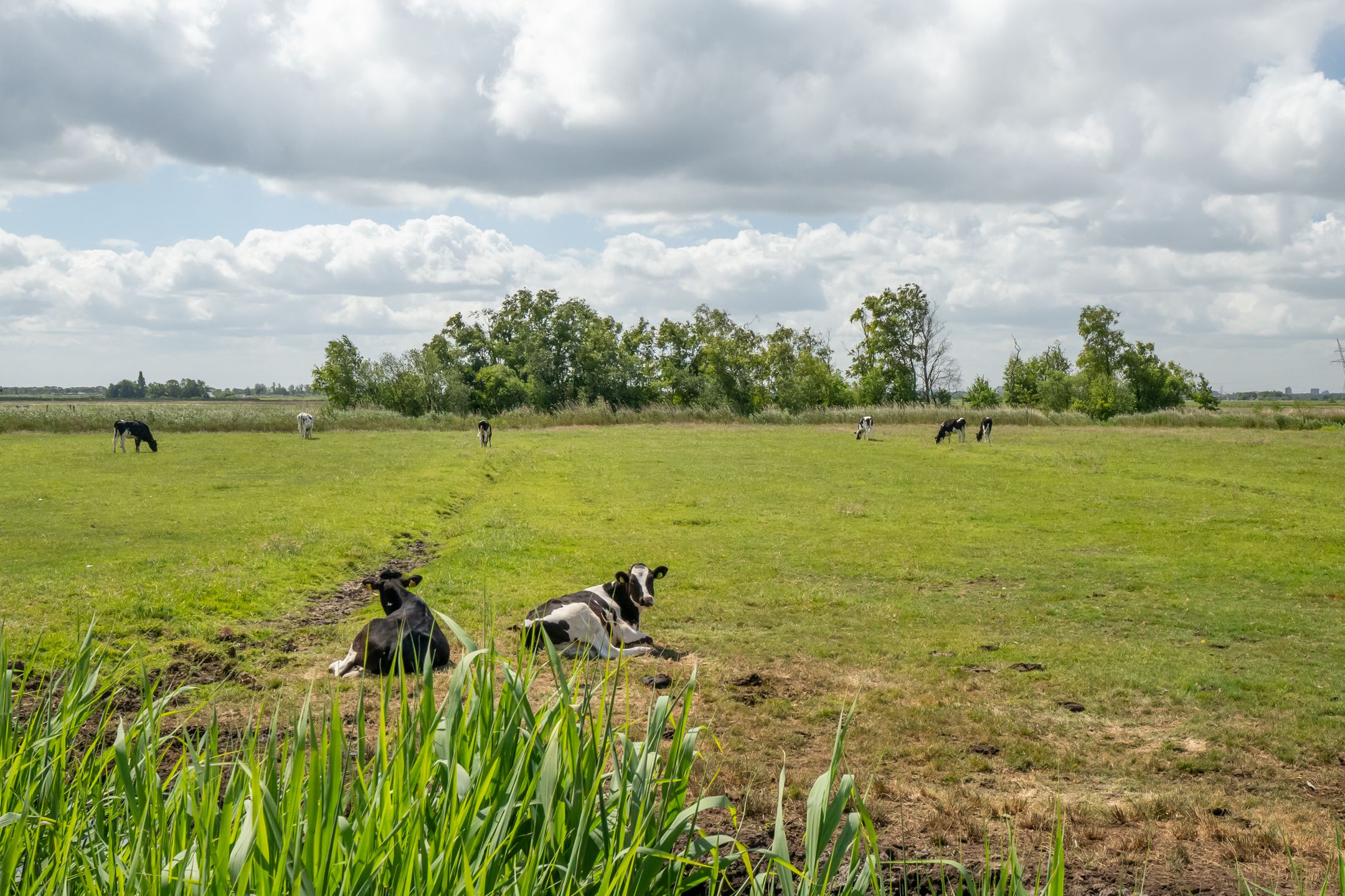 Foto 63 van Overleek 26