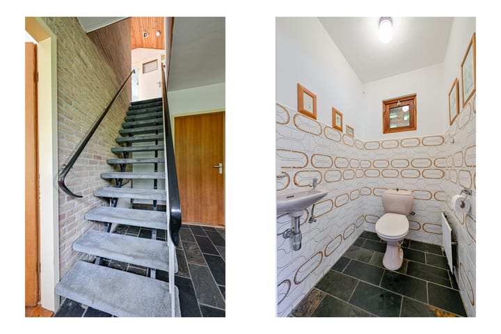 Foto 21 van Meerkoet 28