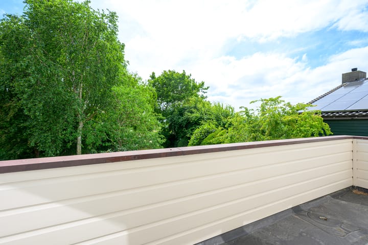 Foto 23 van Meerkoet 28