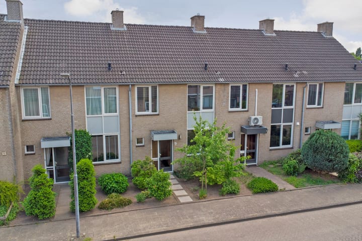 undefined main image