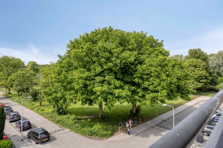 Foto 22 van Zwinstraat 36