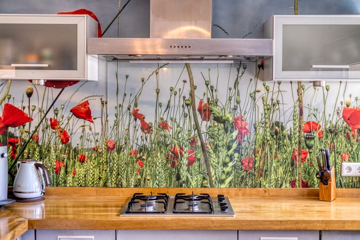 Foto 18 van Europasingel 2